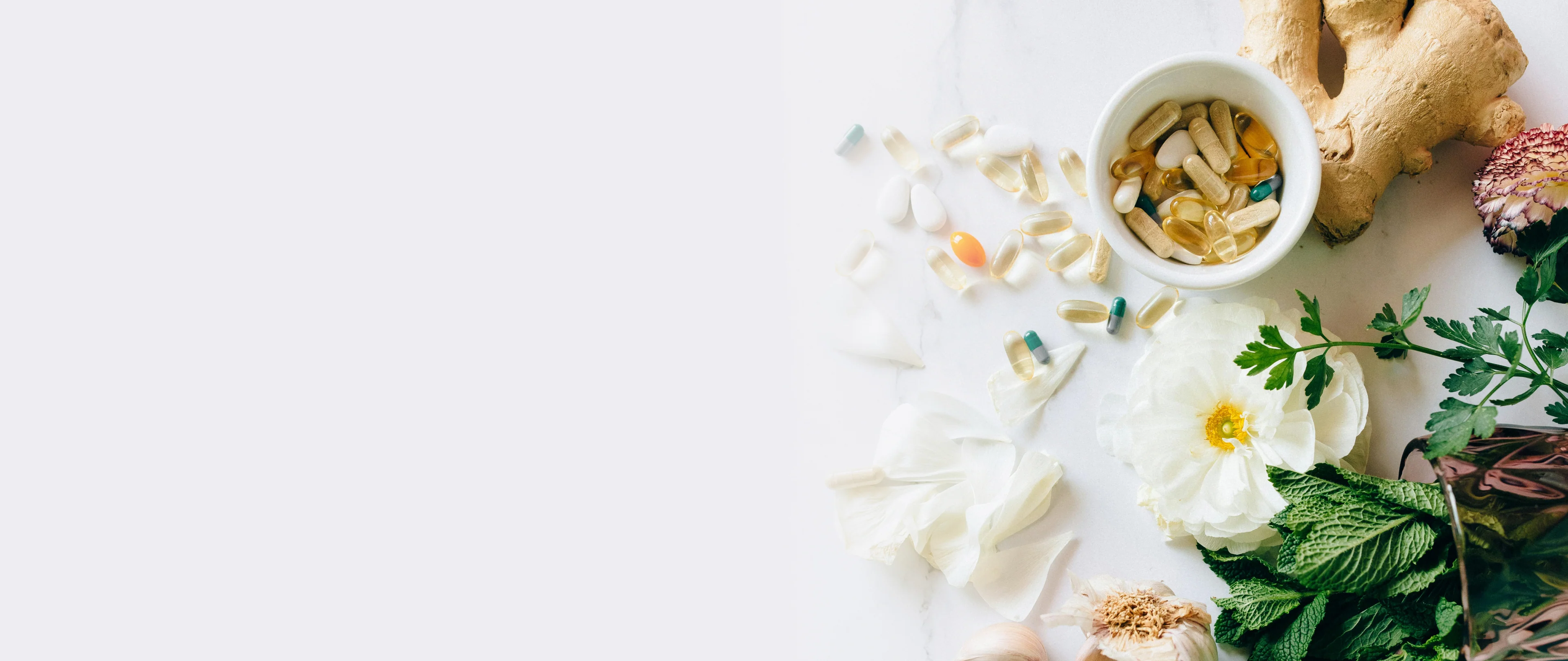 Fuel Your Daily Peak Performance